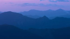 Jenny Caywood 1656146 Unsplash